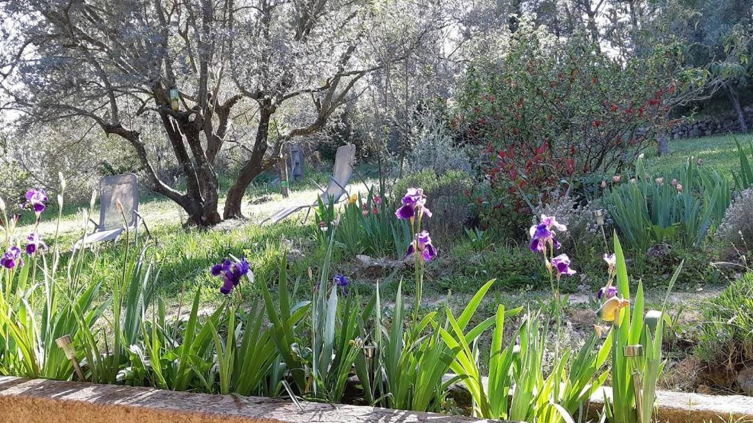 Loucabanon Var Draguignan Dış mekan fotoğraf